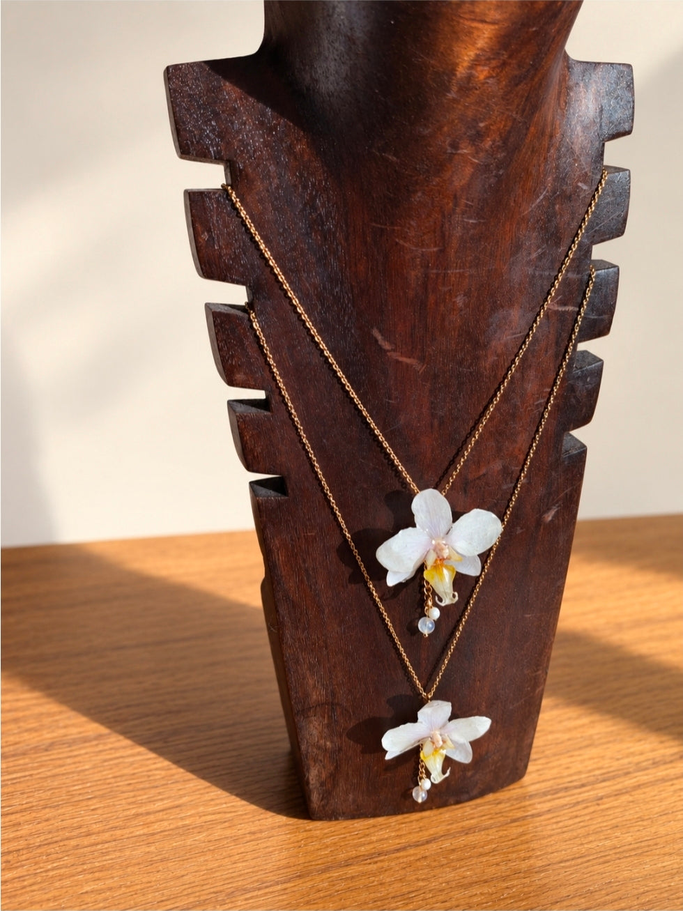 Collares Luz y Alba